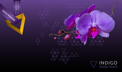 恭喜莱佛士学生夺得2020 INDIGO大赛14项设计大奖