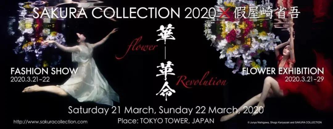 喜报 | 莱佛士学生荣获樱花集锦亚洲杯优胜奖