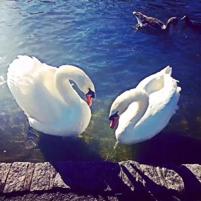 广州莱佛士设计学院师生参加伦敦时装周