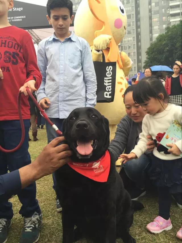 广州莱佛士设计学院参加英国文化日