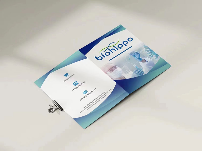 莱佛士设计学院