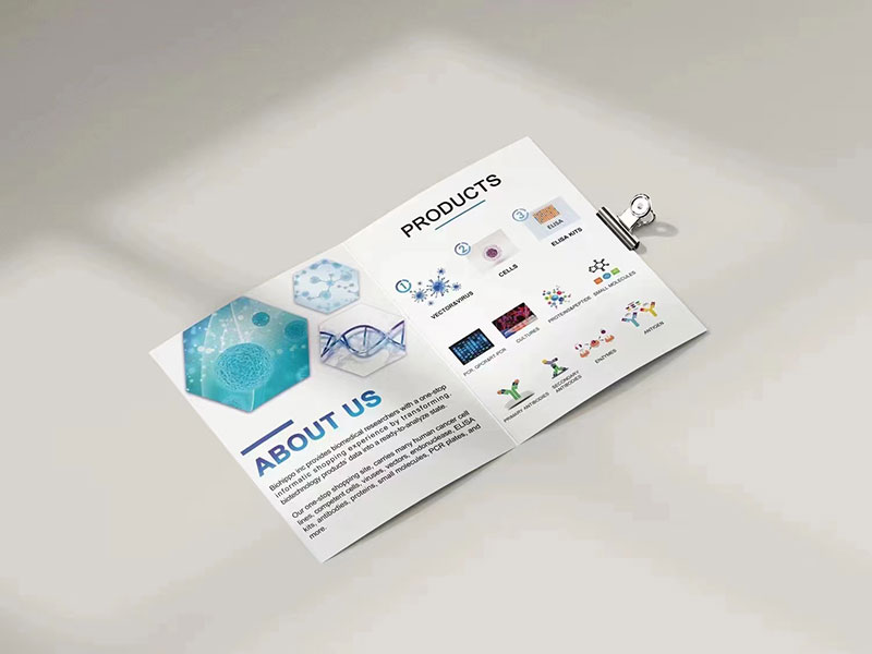 莱佛士设计学院