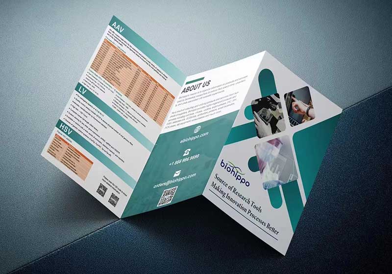 莱佛士设计学院