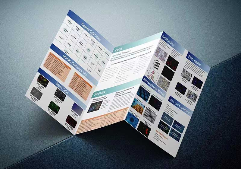 莱佛士设计学院