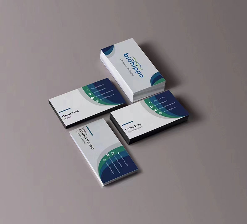 莱佛士设计学院