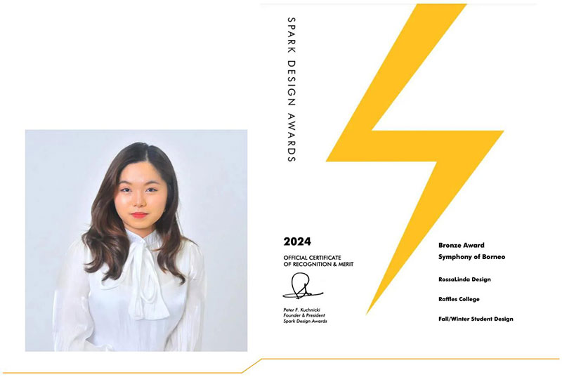 莱佛士学生斩获2024 Spark设计奖铜奖-莱佛士设计学院